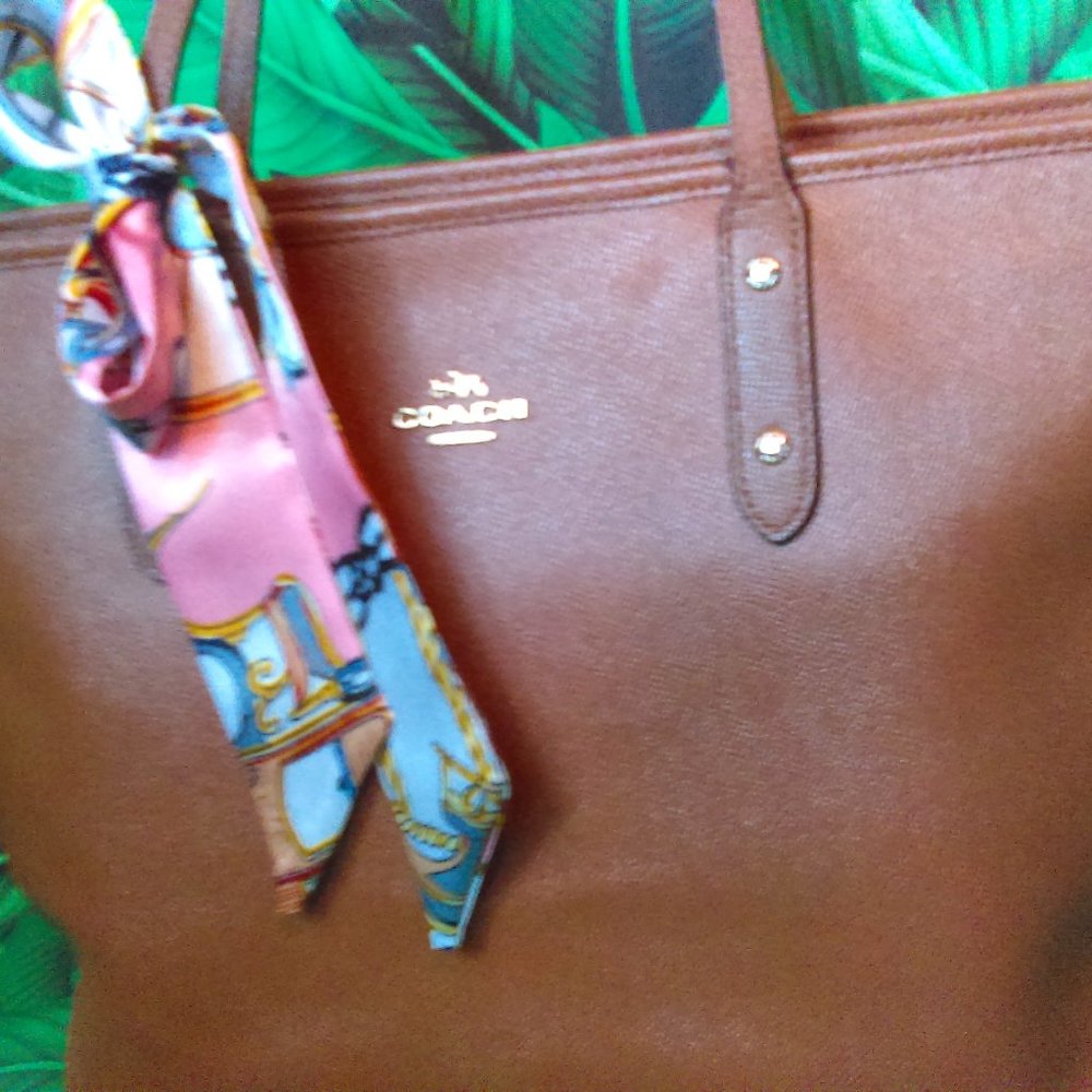 Coach Handbag